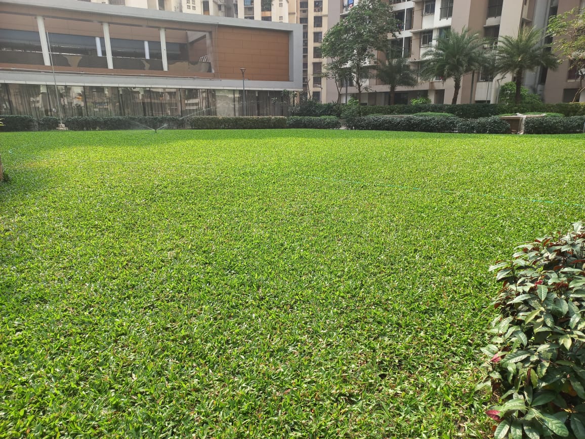 Greenscape Creation Cover Photo
